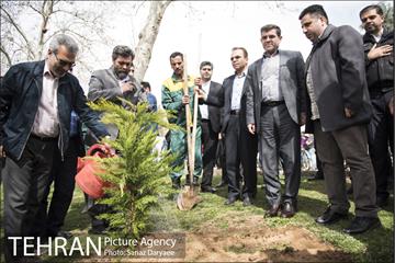 درختکاری و لانه گذاری کبوتر در بوستان بعثت 28