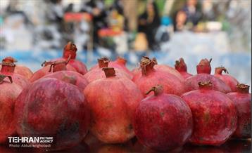 ضیافت طعم و رنگ در منطقه ۹ 10