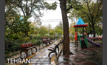 بارش باران پاییزی در تهران 1