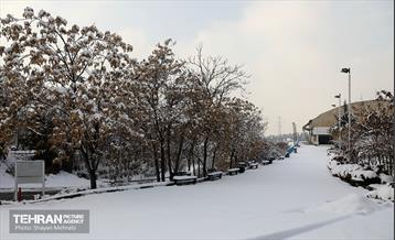 تهران برفی از نمای برج میلاد 9