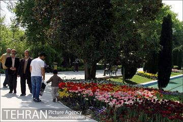 لاله های بهاری پارک شهر 16