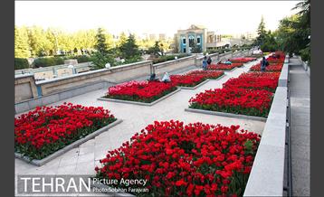 رویش گل های لاله در بوستان گفتگو 13