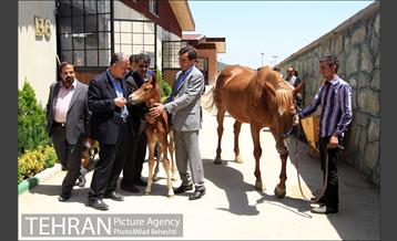 تهرانگردی احمد مسجدجامعی در منطقه 22‎ 20