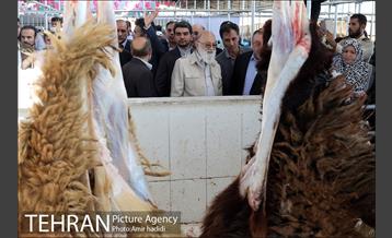 بازدید رییس شورای اسلامی شهر تهران و مدیر عامل سازمان میادین شهرداری تهران از مراکز عرضه بهداشتی دام 5