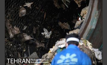 مرکز دفع و بازیافت پسماند زباله آرادکوه - کهریزک 19