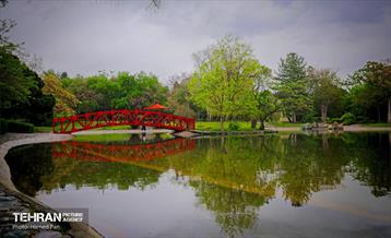 باغ گیاه‌شناسی 42