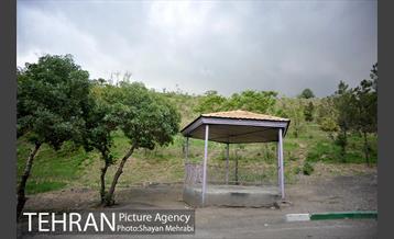 پارک جنگلی لویزان‎ 6