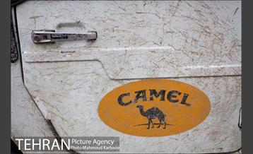 بزرگترین همایش اتومبیلهای دو دیفرانسیل تهران‎ 12