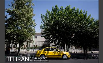 شهرنگار؛ خیابان ۱۶ آذر 9