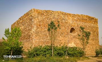 زندان هارون الرشید / علی سلیمی