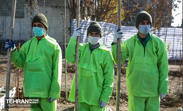 مانور سراسری برف روبی در منطقه 1 تهران 10