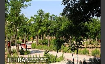 آیین بهره برداری 50 پروژه شهری در منطقه 22 تهران‎ 8