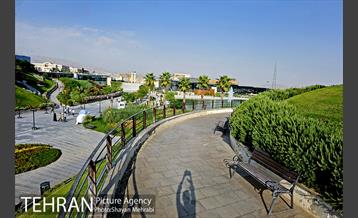 دریاچه و باغ هنر 43