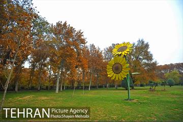 پاییز در پارک های تهران 9