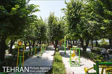بوستان المهدی 24