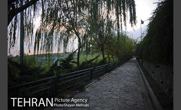 بوستان نهج البلاغه (فاز2) 32