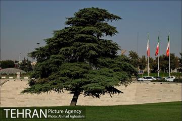 میدان و برج آزادی تهران 2