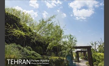 بوستان آزادگان 26