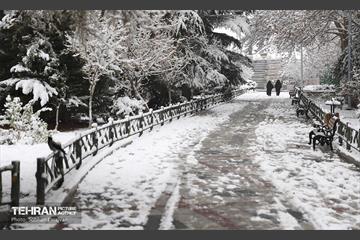 صبح برفی بوستان ملت 24