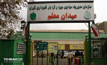 بازدید مدیرعامل سازمان تره‌وبار از میادین میوه 16