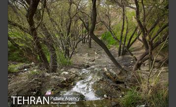 روز طبیعت در بوستان هاى منطقه ٥