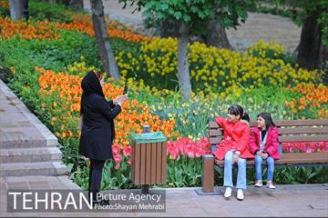 باغ ایراتی (بوستان مهندس مختاری) 17