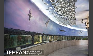 دهمین تور عکاسی آژانس عکس تهران از مکان های شاخص منطقه یک 10