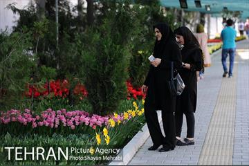پیاده راه لاله مادران 27