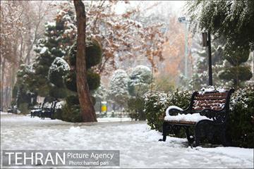 روز برفی تهران در پارک شهر 2