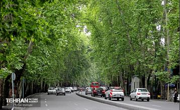 هوای بهاری تهران 22