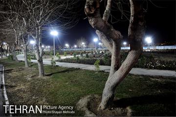 شهردار شب غلامحسین محمدی 59