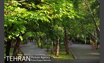 بوستان لاله 37