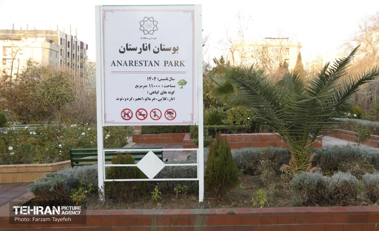 هشتادوششمین رویداد امیدوافتخار 42