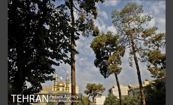 چهره جدید میدان بازار دوم نازی آباد 11