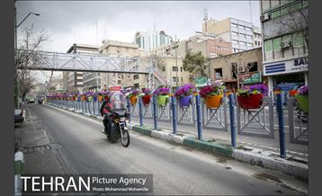 استقبال از بهار در خیابانهای تهران 16