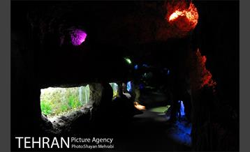 موزه حیات وحش هفت چنار 44