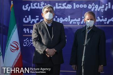بازدید و افتتاح پروژه جنگل کاری 1000هکتاری در بوستان جنگلی تلو 24