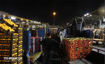 تره‌بار یلدایی 80