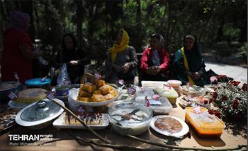 جشنواره غذای سالم 22