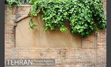 خانه مهربان تهران 16