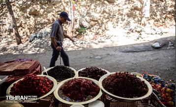 شهرنگار؛ درکه 17