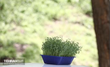 روز طبیعت در پارک جنگلی لویزان 13