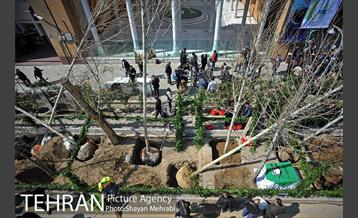 احیای درختان خیابان  ولیعصر( عج) با حضور شهردار تهران  42