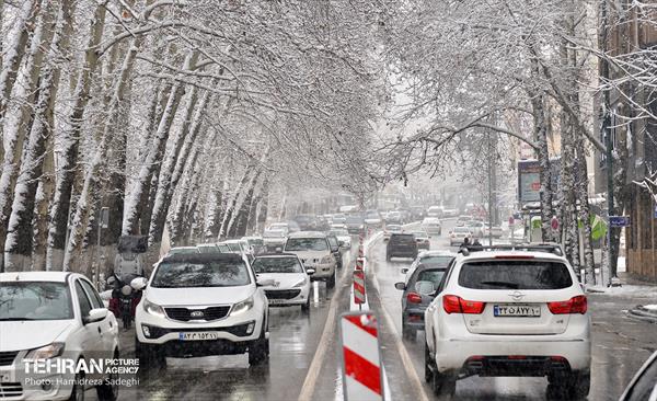 بارش برف زمستانی در منطقه 1 23