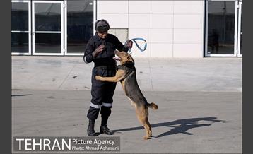 افتتاح نمایشگاه تجهیزات مقابله با بحران 28