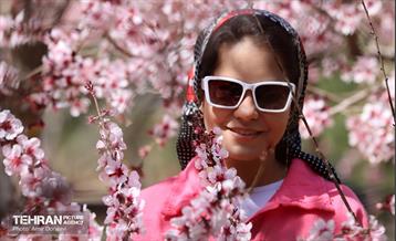 شکوفه‌های بهاری در بوستان سمن‌ها 23