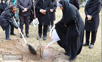 غرس ۱۱۰۰ نهال در منطقه ۱۱ 26