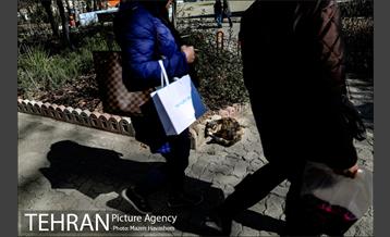 شهرک اکباتان 14