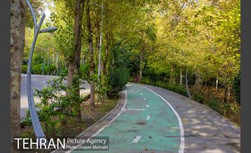 پاییز بوستان لاله 3