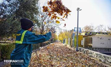 گذرگاه های پاییزی پایتخت - منطقه 14